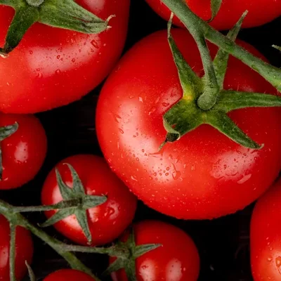 karl-klees-sortiment-frische-tomaten-cherry-roma